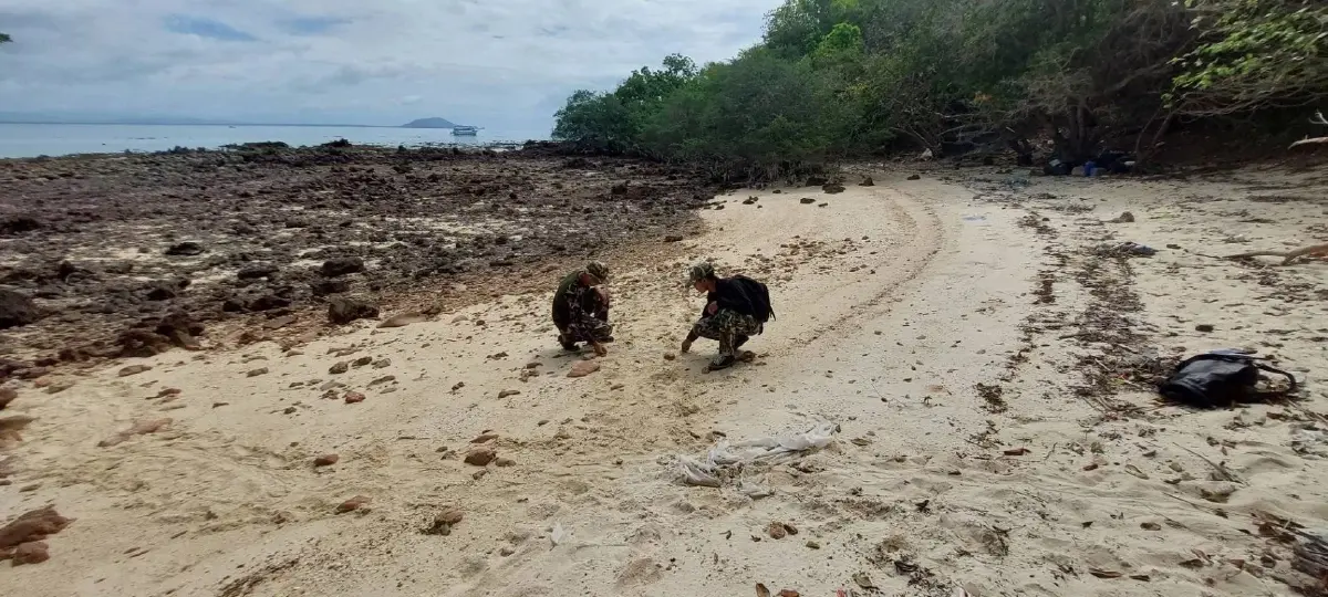 หัวหน้าอุทยานแห่งชาติอ่าวสยาม เผยข่าวดี  "แม่เต่ากระ" ขึ้นวางไข่เป็นรังที่ 8 ของปี