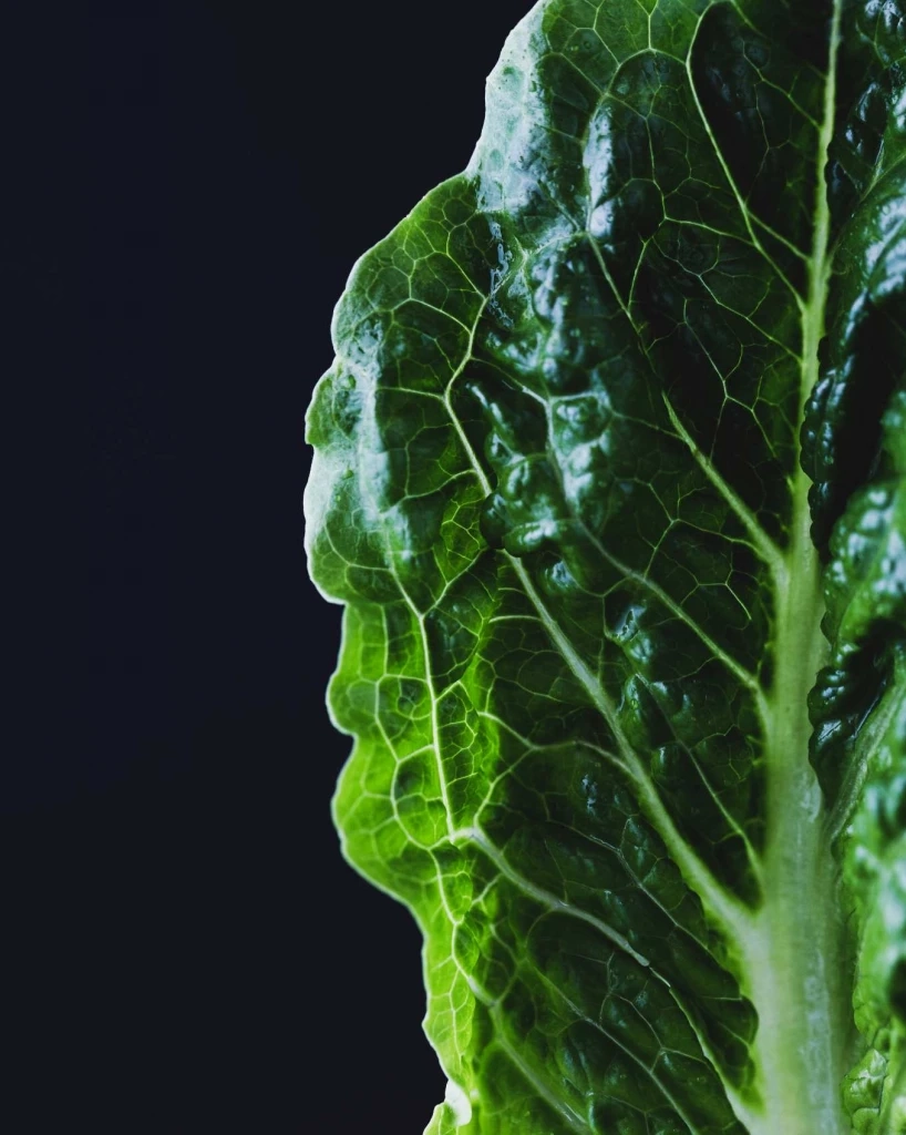 5 สารปนเปื้อนที่แฝงตัวในอาหารประจำวัน รู้ทันก็เลี่ยงได้!!