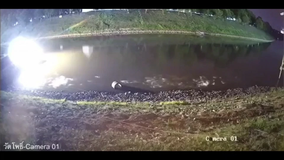 เปิดคลิปหาชมยาก แมวสะดุ้ง ฝูงปลาแม่น้ำแตกตื่น เหตุแผ่นดินไหวพิษณุโลก