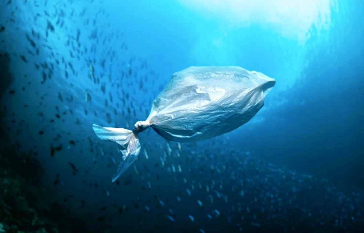 IUNC ชี้กิจกรรมมนุษย์กำลังทำลายมหาสมุทร ได้เวลาทบทวนก่อนสาย