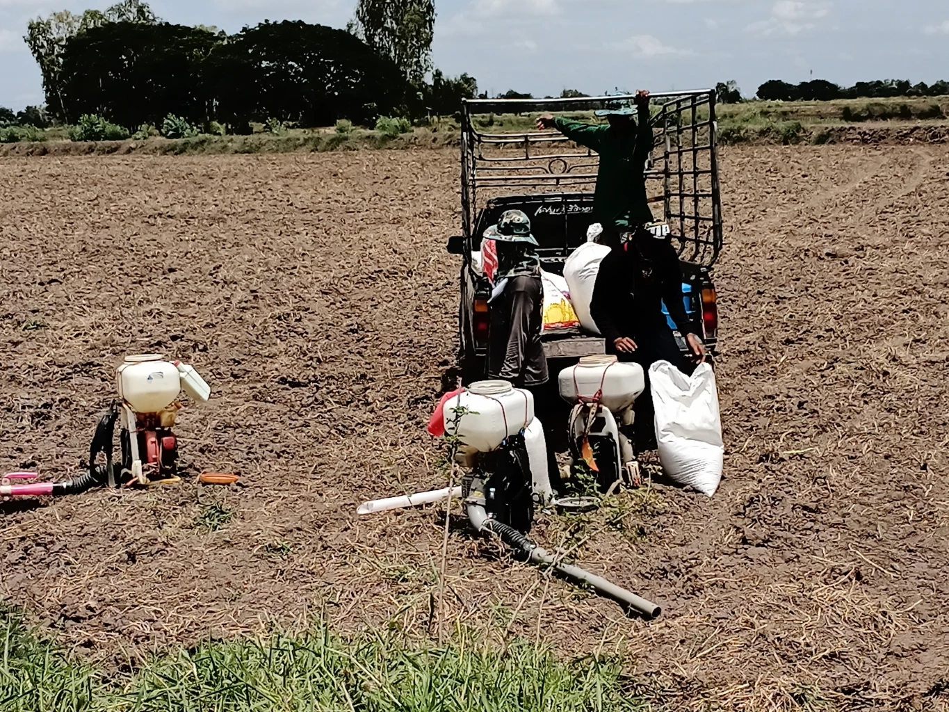 ชาวนาพิจิตร เสี่ยงหว่านข้าว แม้เจอภัยแล้ง วอน รบ.ใหม่ ช่วยเหมือน "บิ๊กตู่"