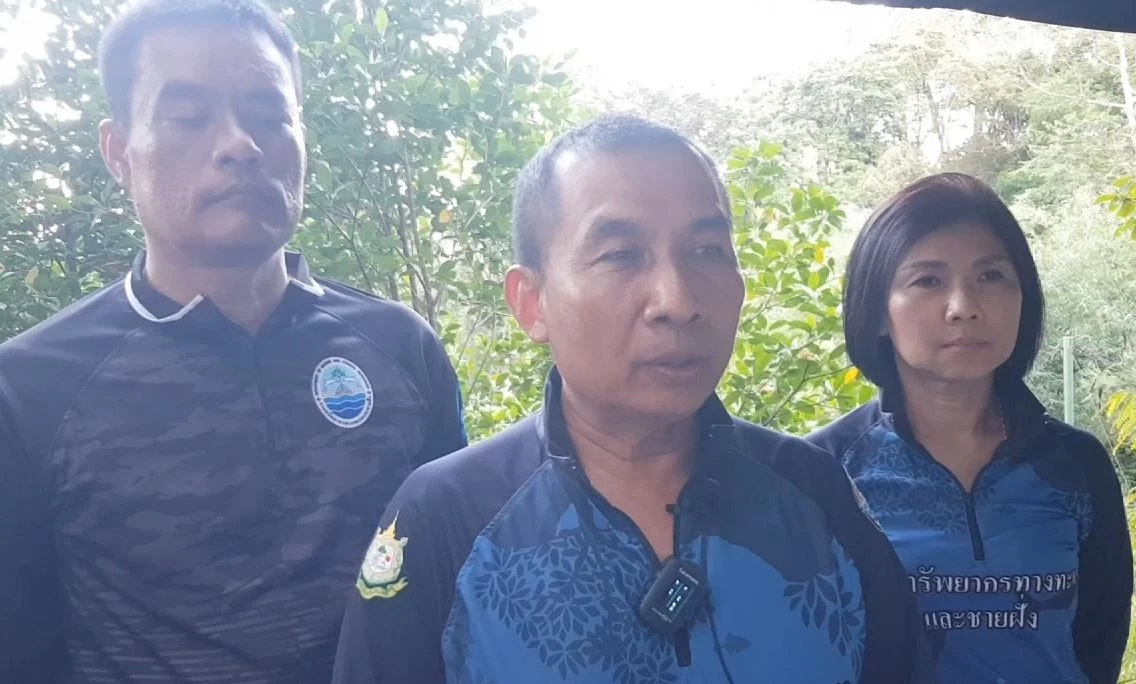 โซเชียลสับเละ ทัวร์ผี-ไกด์เถื่อน พาลูกทัวร์ดำน้ำจับปลาดาว-ปีนปะการัง