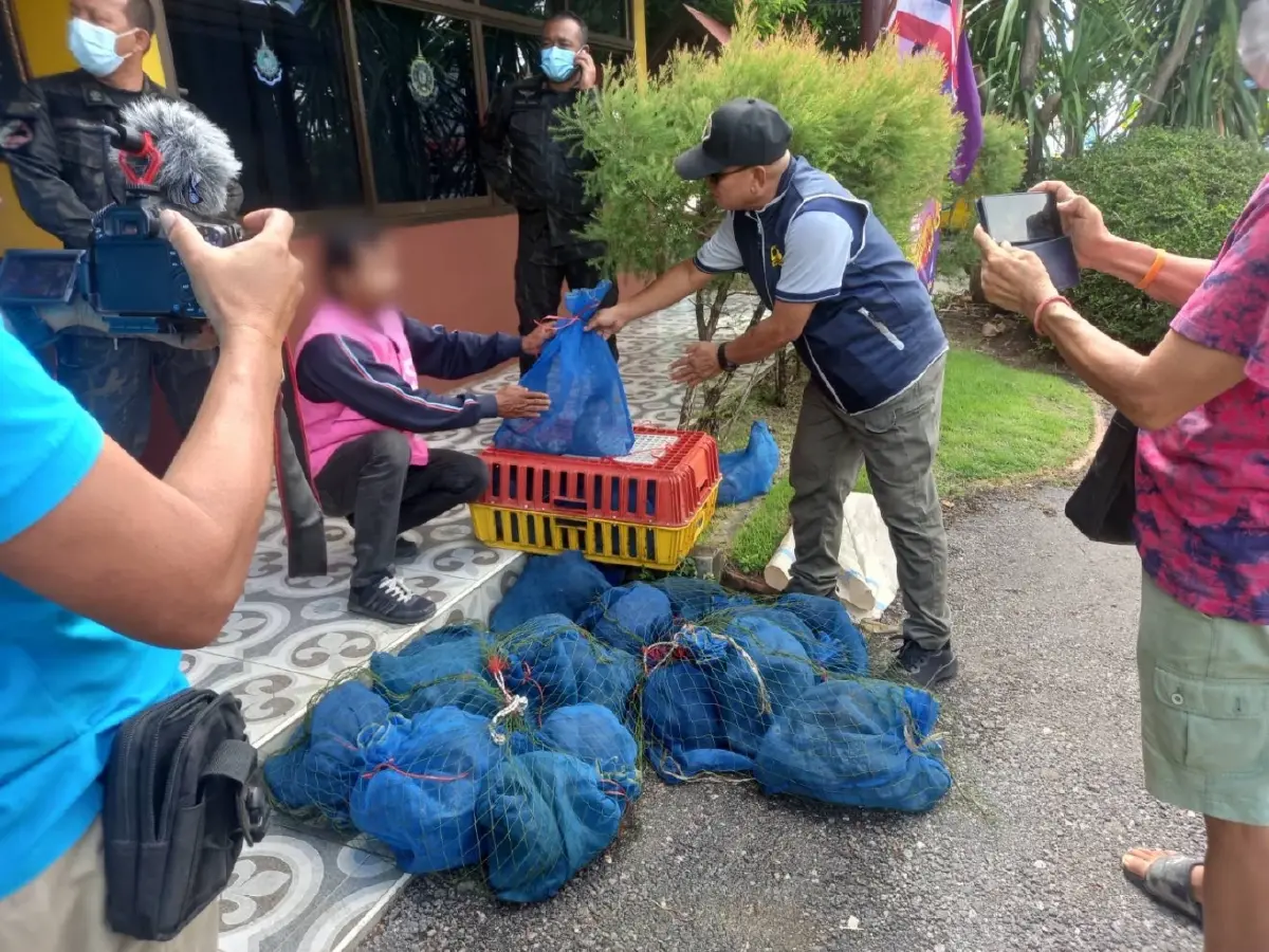 ตำรวจป่าไม้รวบแก๊งค้าลิงแสมข้ามชาติ ทำเมนูเปิบพิสดาร