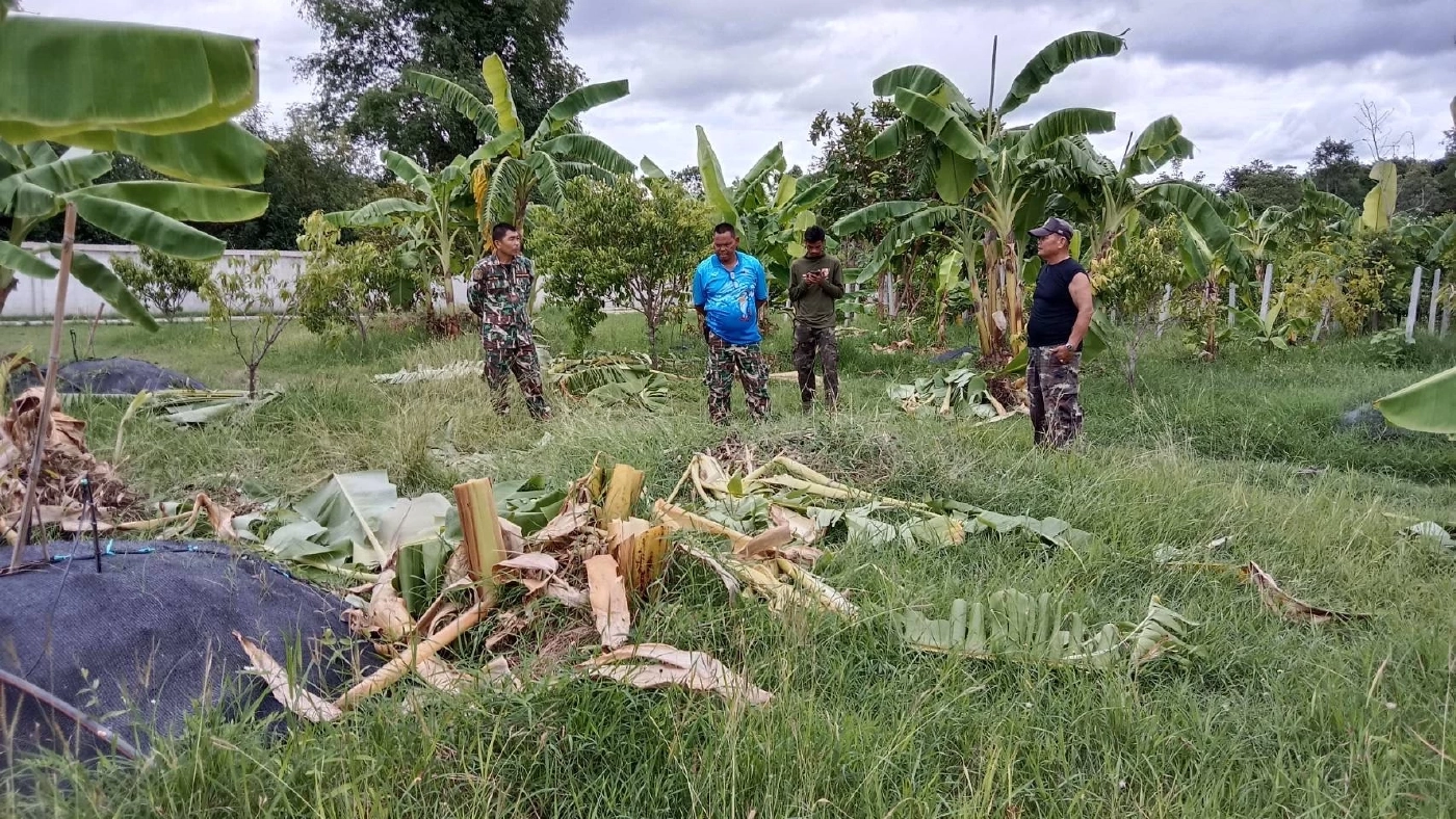 แก๊งช้างป่าสลักพระ บุกชุมชนวังด้ง ชาวบ้านฮือฮาถ่ายรูปอวดลงโซเชียล