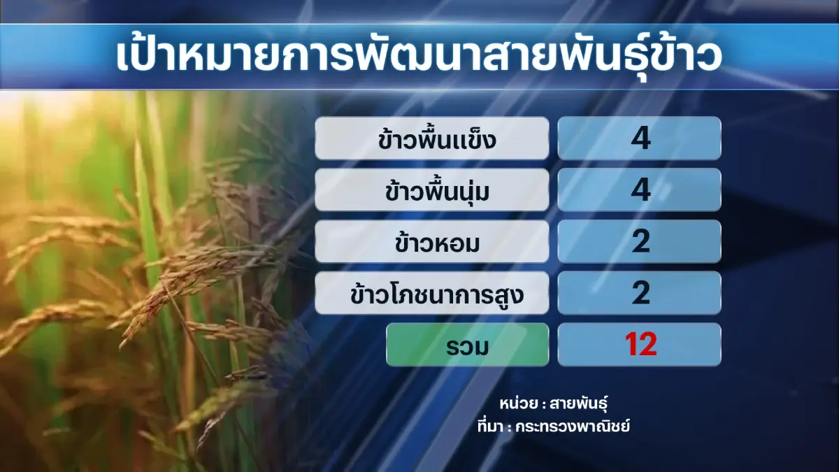 ก.พาณิชย์มั่นใจไทยส่งออก 'ข้าว' ทะลุ 8 ล้านตัน