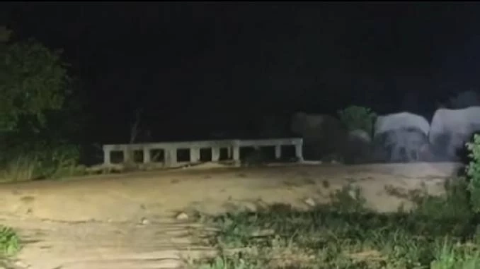 ระทึก! ช้างป่าทับลานมรดกโลก ยกโขลงกว่า 60 ตัว ลุยสวนชาวบ้านพังยับ