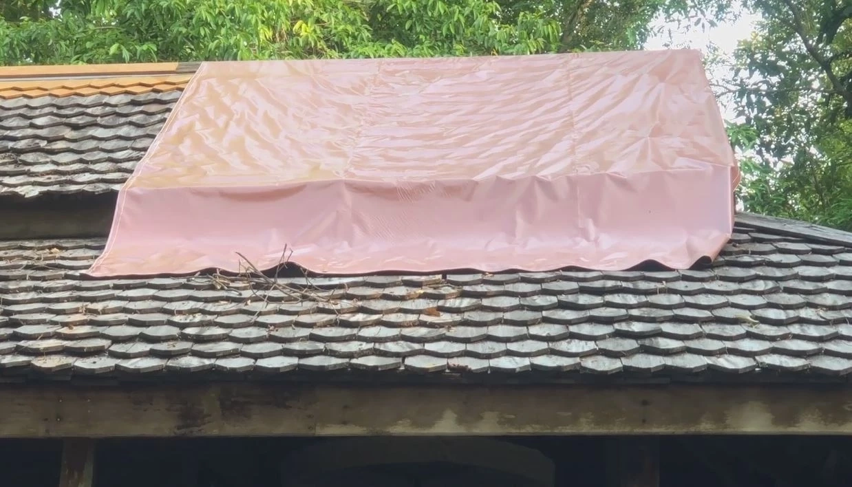 ฮือฮา ฝนตกหนัก ต้นไม้ใหญ่ล้มทับกุฏิ หลวงปู่มั่น แต่กุฏิเสียหายเล็กน้อย