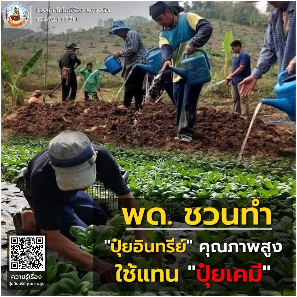 กรมพัฒนาที่ดิน ส่งเสริมเกษตรกรไทยใช้ปุ๋ยอินทรีย์ ลดต้นทุน