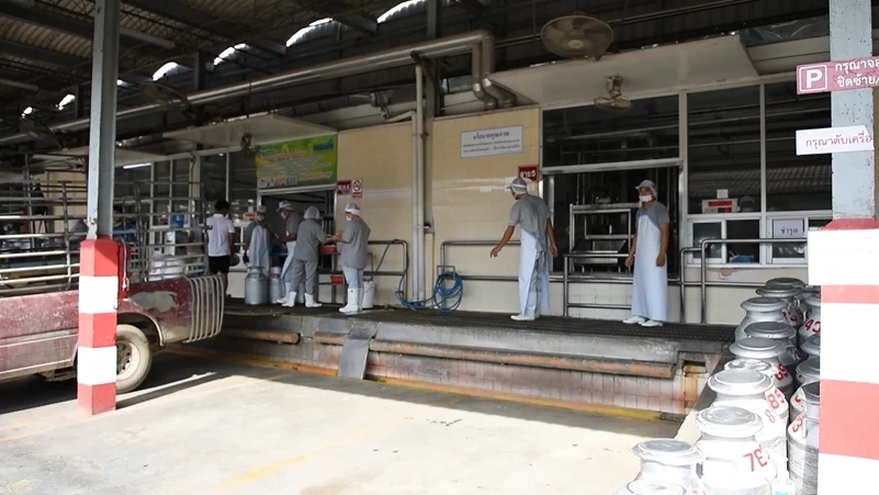 ปังไม่ไหวอีกแล้ว! ยอดขาย "นมหนองโพ" พุ่ง หลัง "ลิซ่า" ดื่มโชว์ในโซเชียล