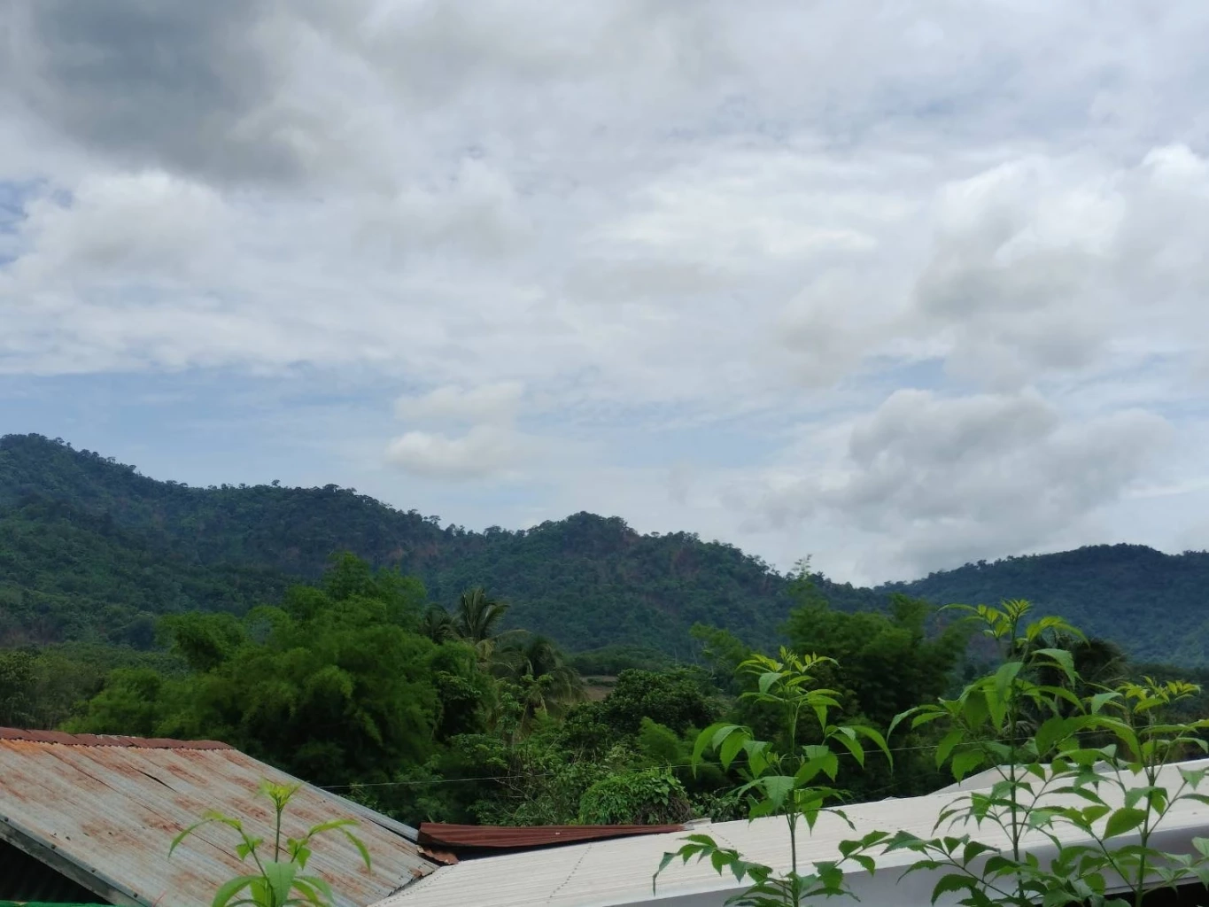 พบแล้ว! ชาวบ้านหายในป่า 4 วัน เผยเรื่องแปลก เจอพระธุดงค์ ก่อนเห็นทางออก