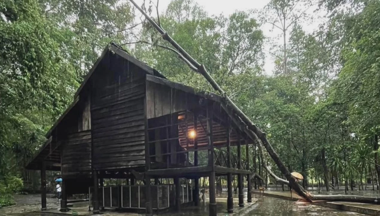 ฮือฮา ฝนตกหนัก ต้นไม้ใหญ่ล้มทับกุฏิ หลวงปู่มั่น แต่กุฏิเสียหายเล็กน้อย