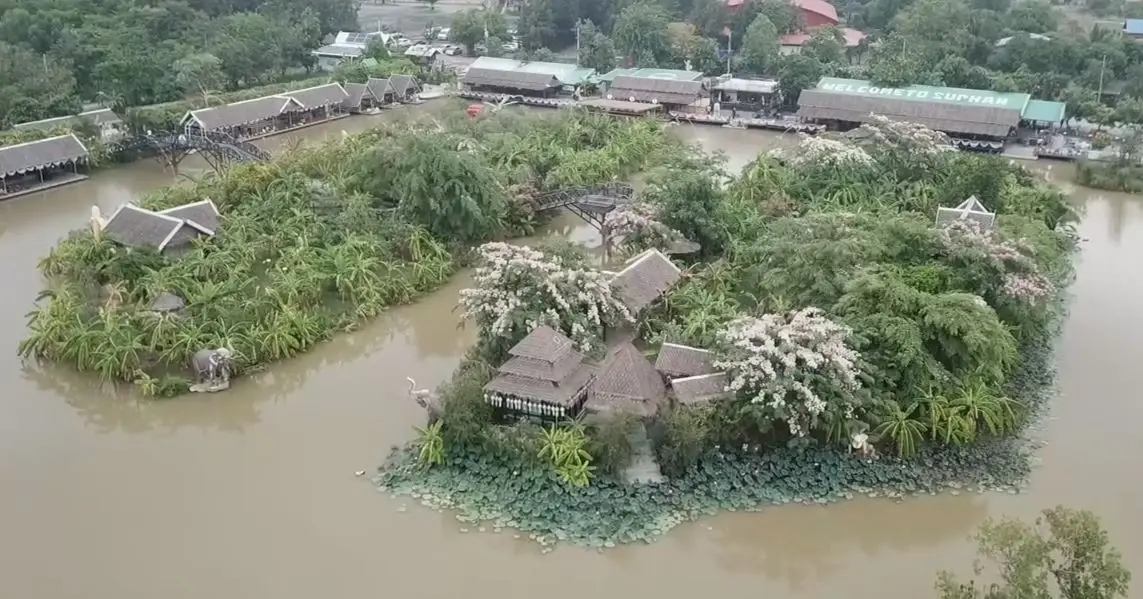 นทท.แห่เช็กอิน เซลฟี่บนสะพาน ชมเกาะ ต้นชัยพฤกษ์ ที่สวนกล้วยสุพรรณบุรี