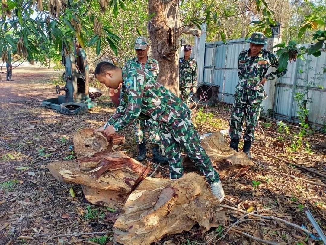 ที่แท้จัดฉากปล้น จับหัวหน้าสวนพฤกษศาสตร์ พัวพันแก๊งค้าไม้พะยูงข้ามชาติ