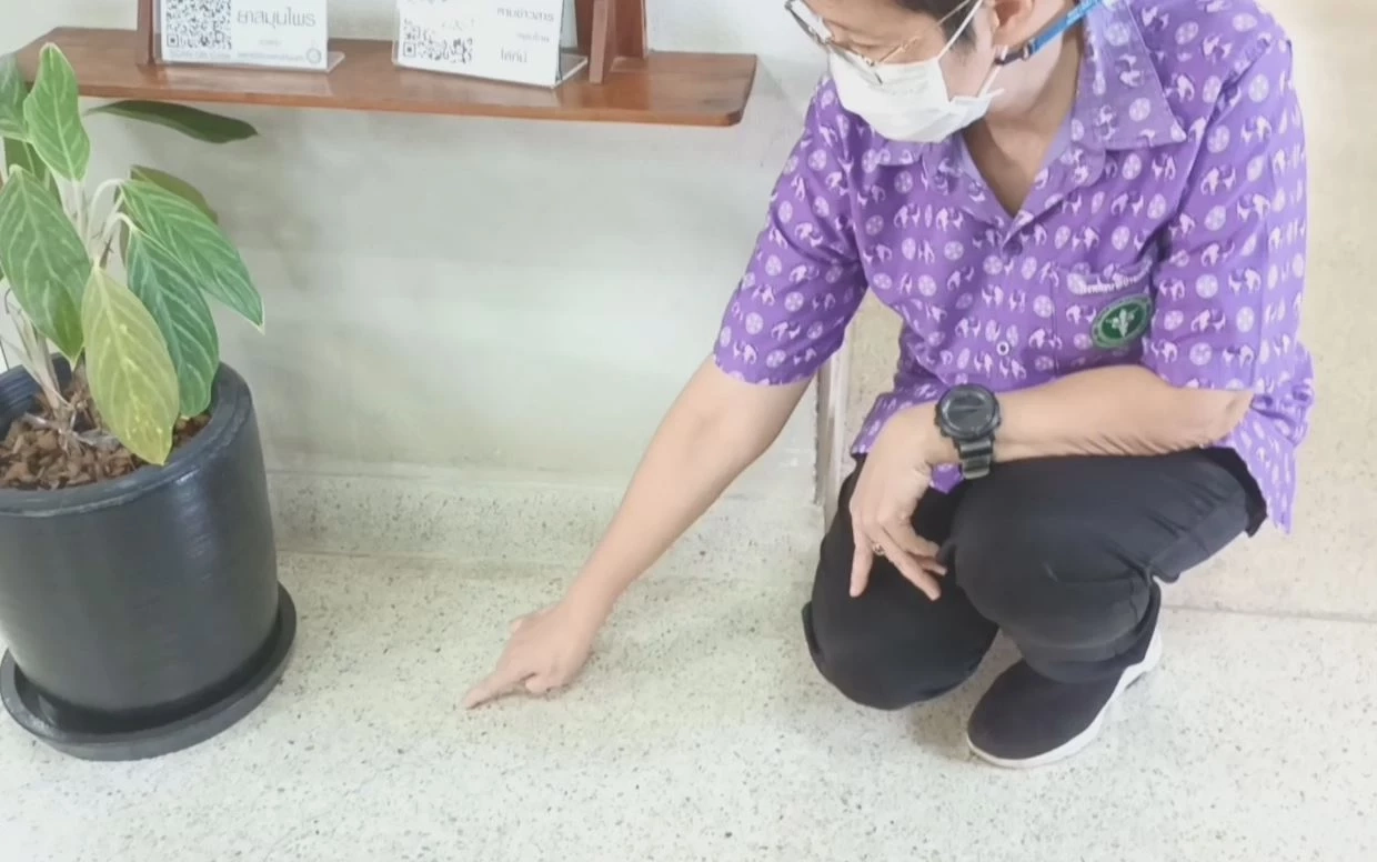 แผ่นดินไหวพิษณุโลก เขย่าอาคารแพทย์แผนไทย รพ.บางกระทุ่ม สร้างรอยร้าว 16 จุด