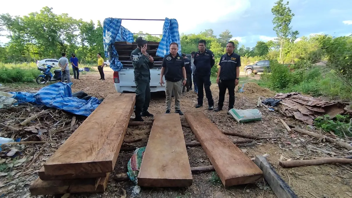 กรมอุทยานฯ บุกยึดไม้แปรรูปขนาดใหญ่กลางป่าลำปาง เตรียมส่งนอกพื้นที่