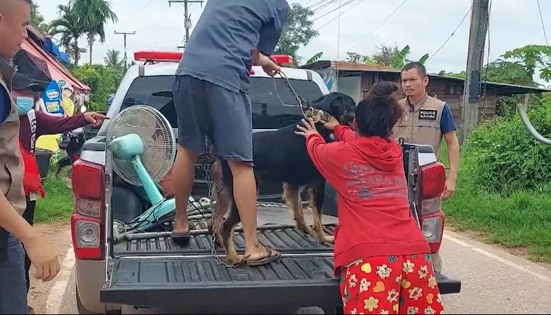 เมียสุดทน หอบลูก-หมาคู่ใจ หนีผัวติดยา หลังพี่สาวแจ้ง ตร.ช่วยพ้นขุมนรก