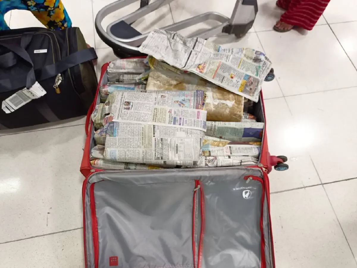 ด่านสุวรรณภูมิ จับชาวอินเดียลอบขนหนังโค และ เขี้ยวหมู รวม 200 กก. 