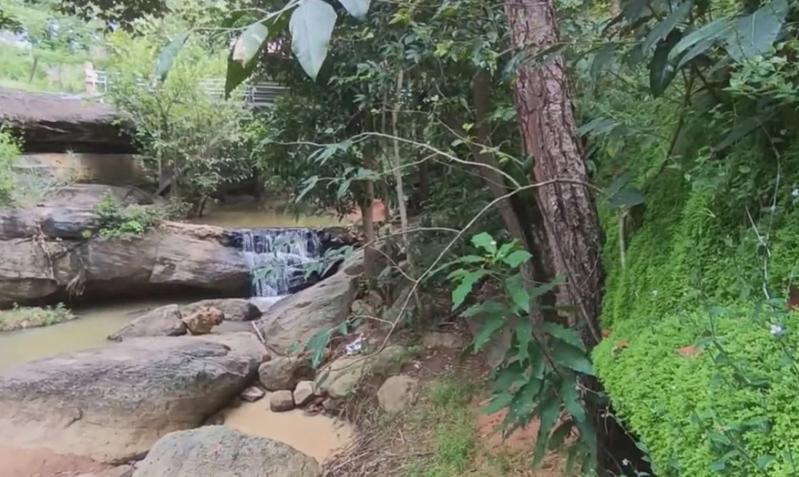 ชวนเที่ยวภูห้วยทราย ครบุรี ชมสะพานเชื่อมหิน แลวิวสุดสวยรับหน้าฝน