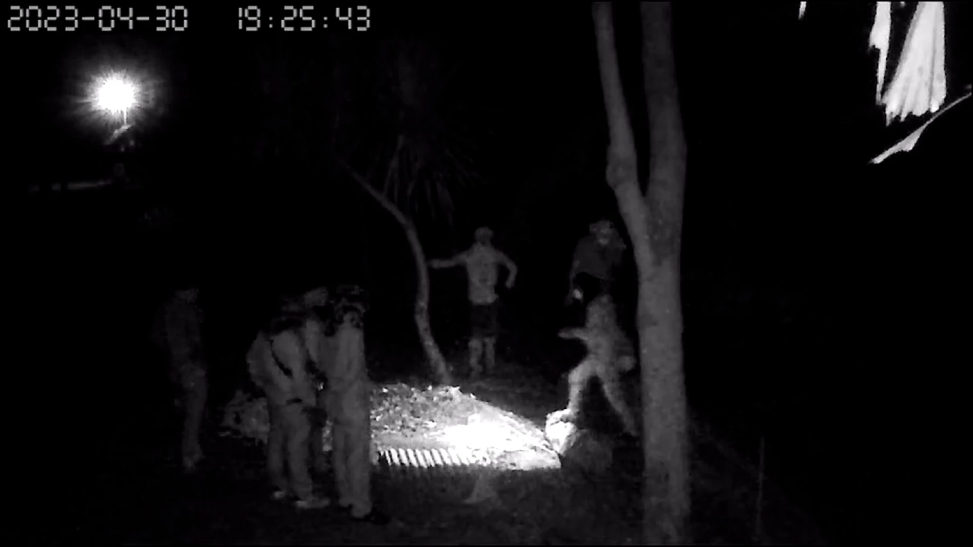 ที่แท้จัดฉากปล้น จับหัวหน้าสวนพฤกษศาสตร์ พัวพันแก๊งค้าไม้พะยูงข้ามชาติ