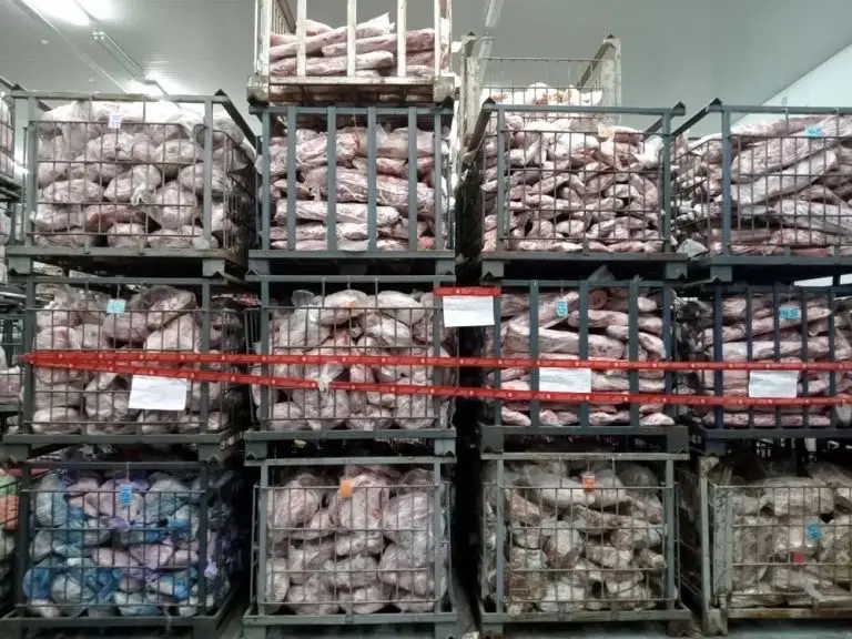"ปศุสัตว์" ปัดไม่เกี่ยวข้องขบวนการนำเข้า"หมูเถื่อน"
