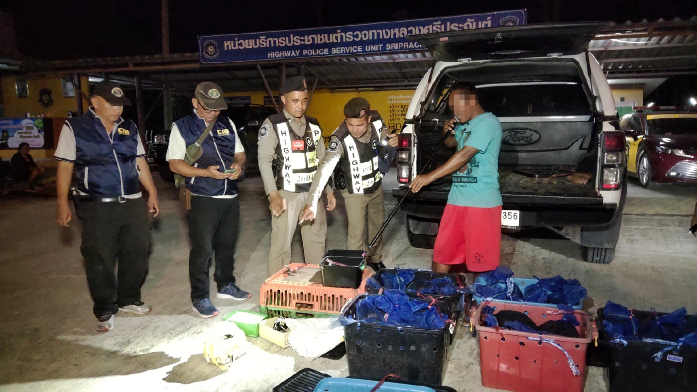 ตร.ทางหลวง รวบแก๊งค้าลิงข้ามชาติ แอบจับส่งนายทุน อ้างทำนาแล้วรายได้มีดี