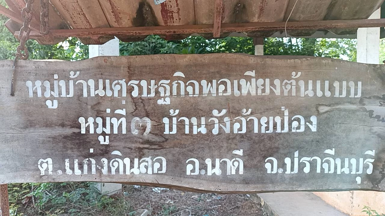 ระทึก! ช้างป่าทับลานมรดกโลก ยกโขลงกว่า 60 ตัว ลุยสวนชาวบ้านพังยับ