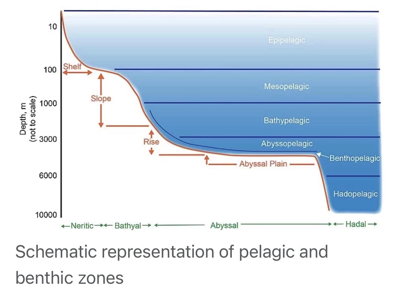 ไขข้อสงสัย 5คนในเรือดำน้ำไททัน จะรู้ตัวหรือไม่ เสี้ยววินาทีระเบิด