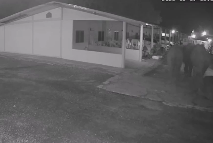 ระทึกกลางดึก ช้างป่า 3 เชือก ยกทีมเที่ยวห้องเช่า ทิ้งอึ-รอยเท้าไว้ดูต่างหน้า