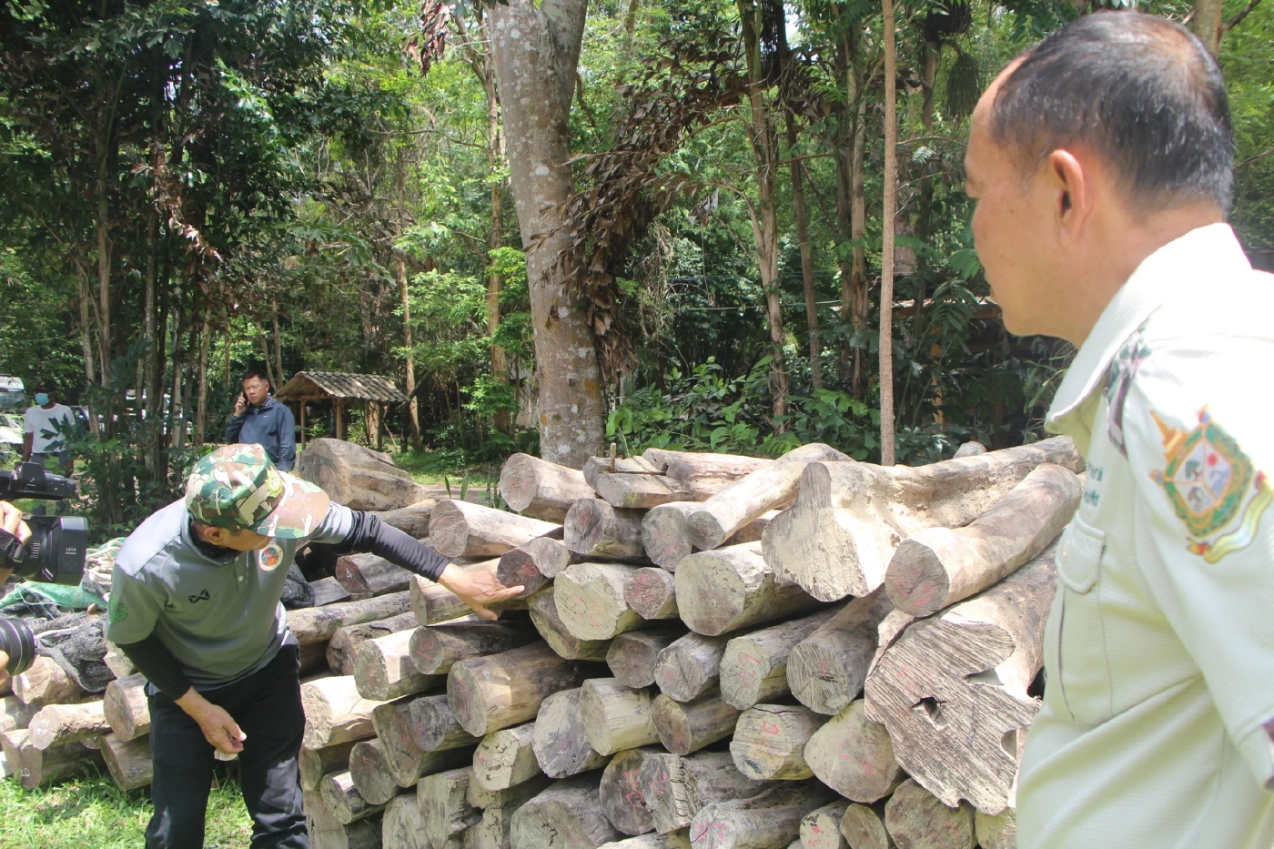 "ชัยวัฒน์" นำจับแก๊งไม้พะยูง "มู่หลาน" พบมี จนท.รัฐเข้าไปมีเอี่ยว