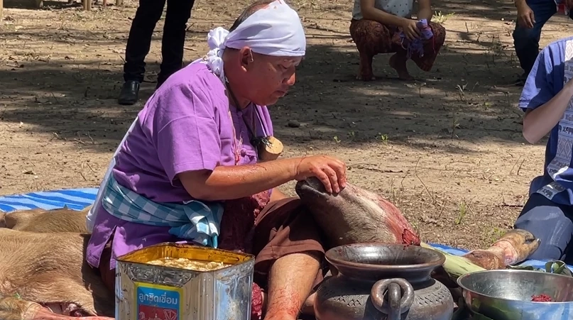 ร่างทรงปู่แสะกินเนื้อควายสดๆ 