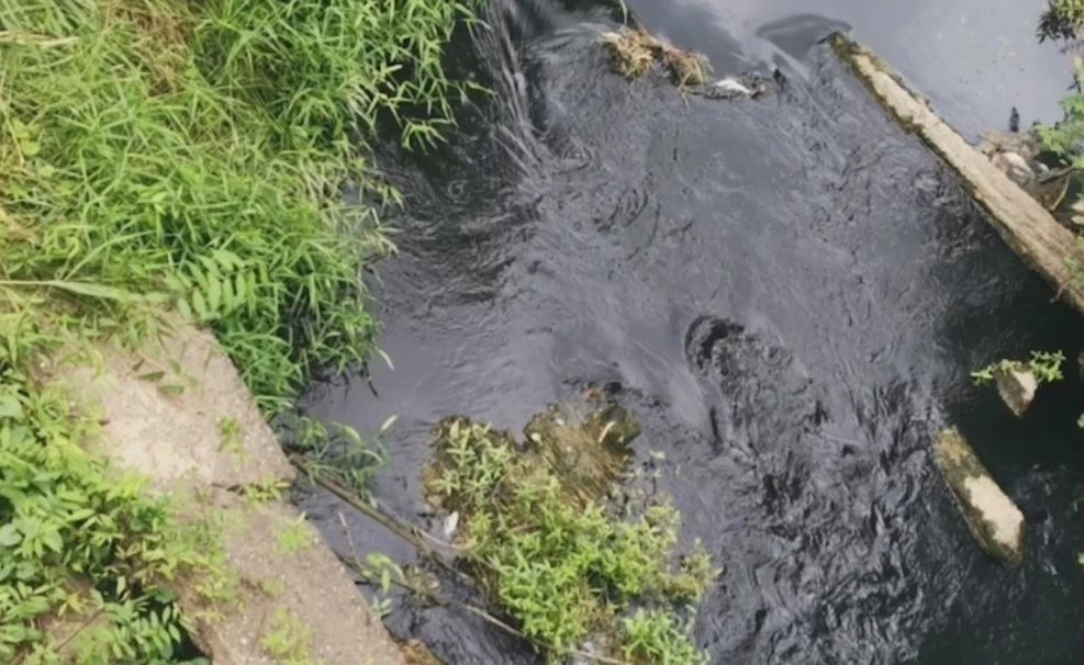 ชาวบ้านร้อง น้ำในลำคลองเน่าเสียส่งกลิ่นเหม็น มีปลาตาย วอนหน่วยงานตรวจสอบ