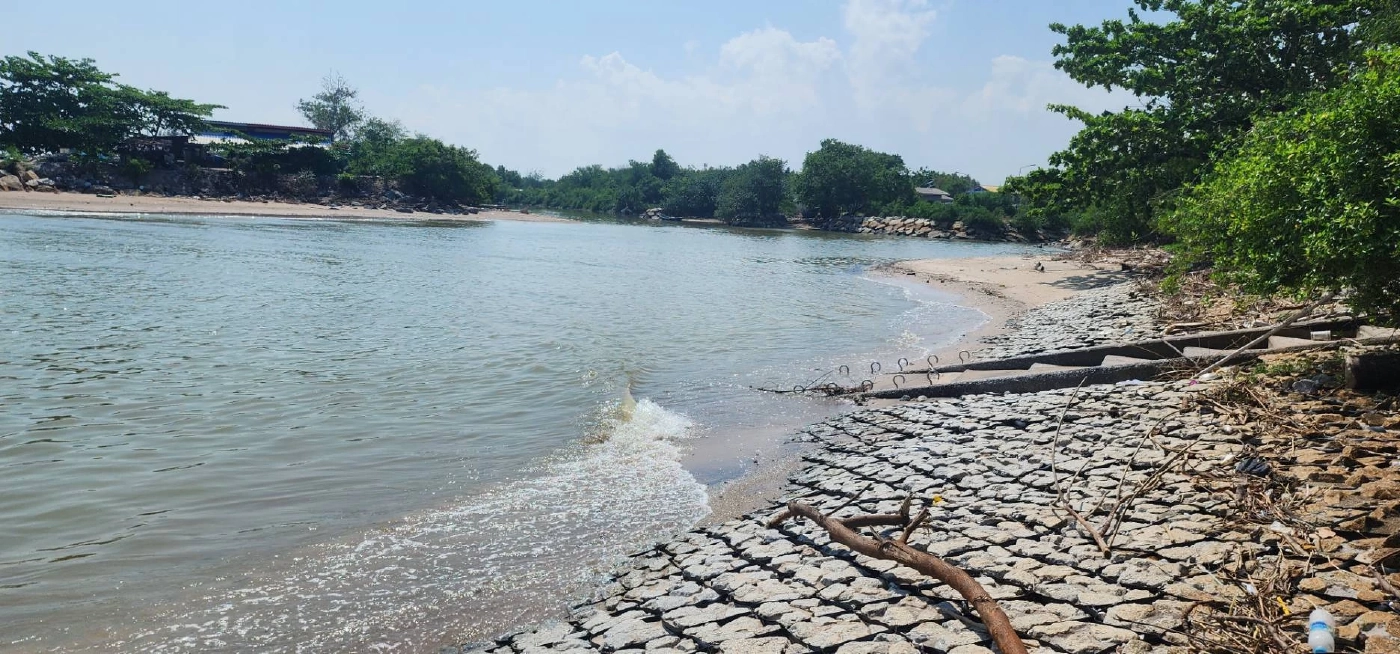 ชาวประมงมาบตาพุดโอด น้ำเน่าปลาตายเกลื่อนคลอง ขนาดคนลงน้ำยังคันเป็นแผล