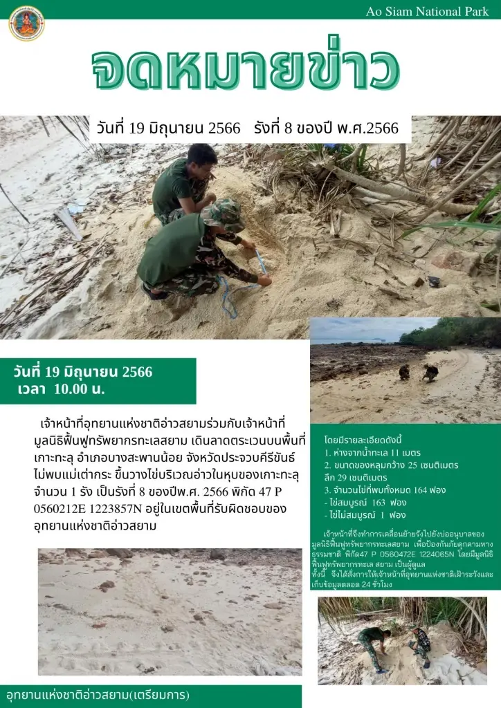 หัวหน้าอุทยานแห่งชาติอ่าวสยาม เผยข่าวดี  "แม่เต่ากระ" ขึ้นวางไข่เป็นรังที่ 8 ของปี