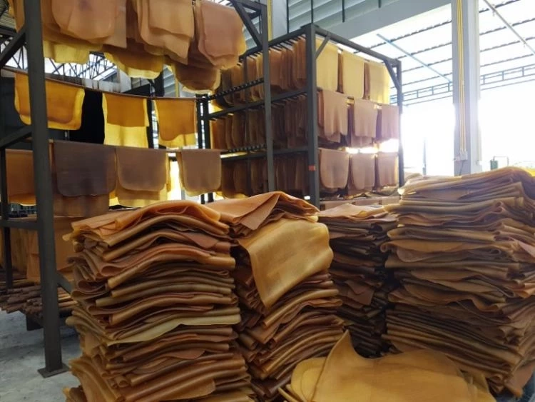 สศก.ประเมินปัจจัย คาดผลผลิตเกษตร หลายชนิดเพิ่มขึ้น