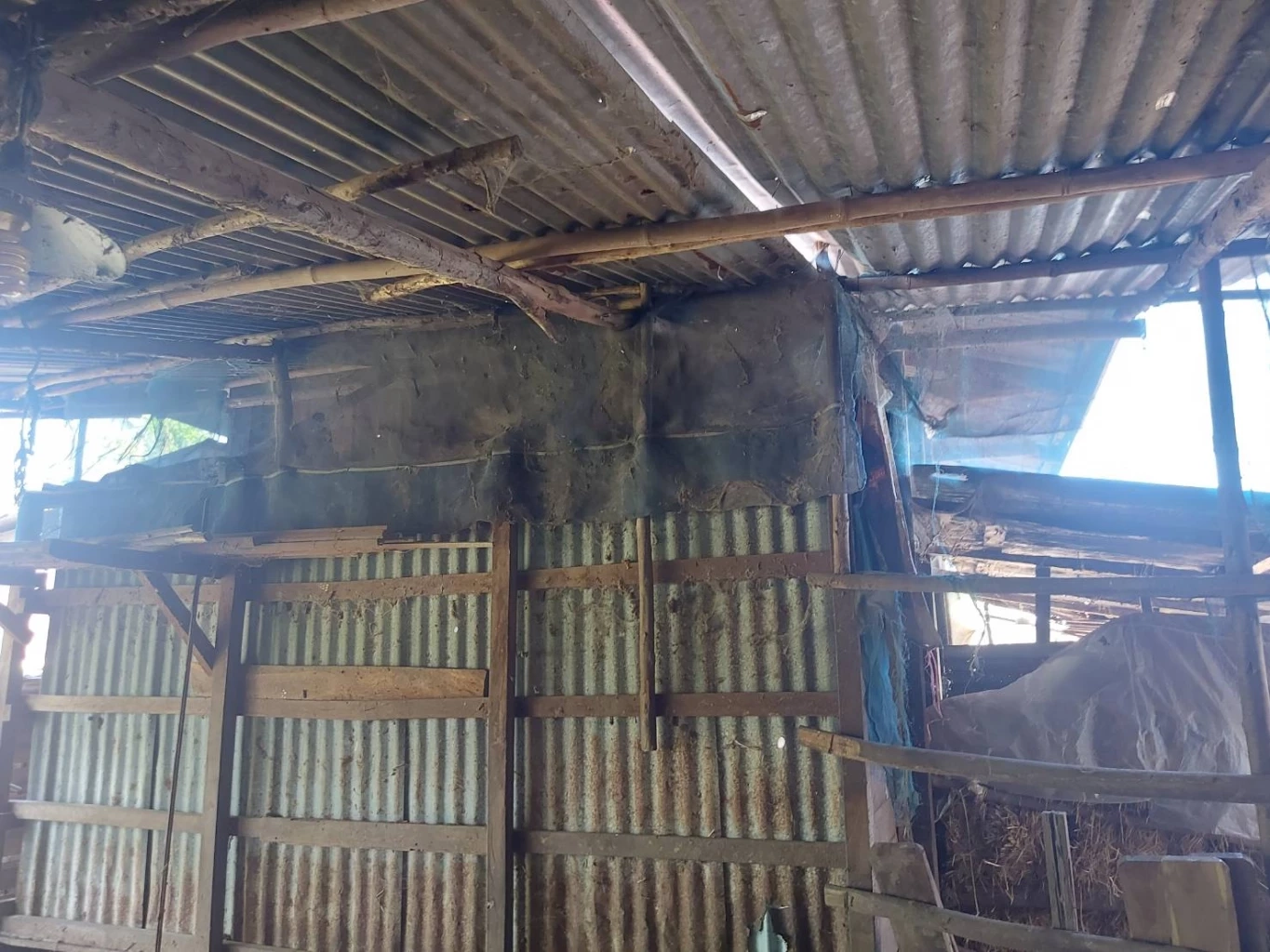 ทุกข์ชาวนา ครวญความเจ็บผ่าน"TikTok" โจรขโมยข้าวพันธุ์ทำนาเกลี้ยง (มีคลิป)