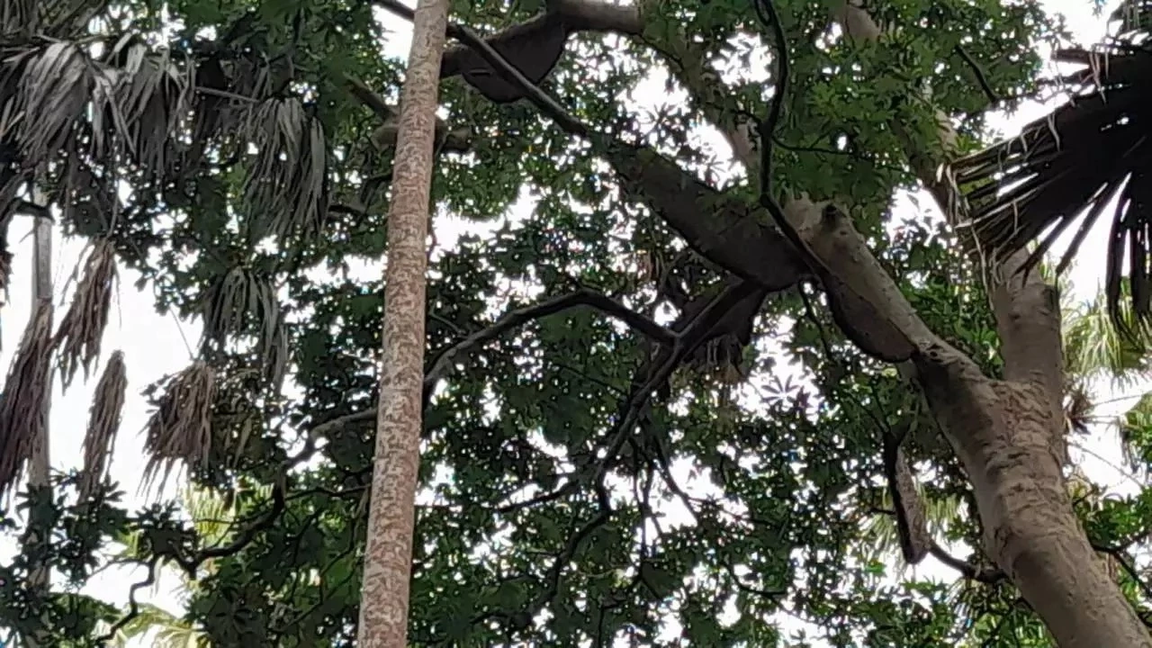 รวมเลขเด็ดเลขดัง จัดให้จุกๆ หวยงวด16/6/66 ครบทุกสำนักดังมาแรง จัดไปเลยจ้า