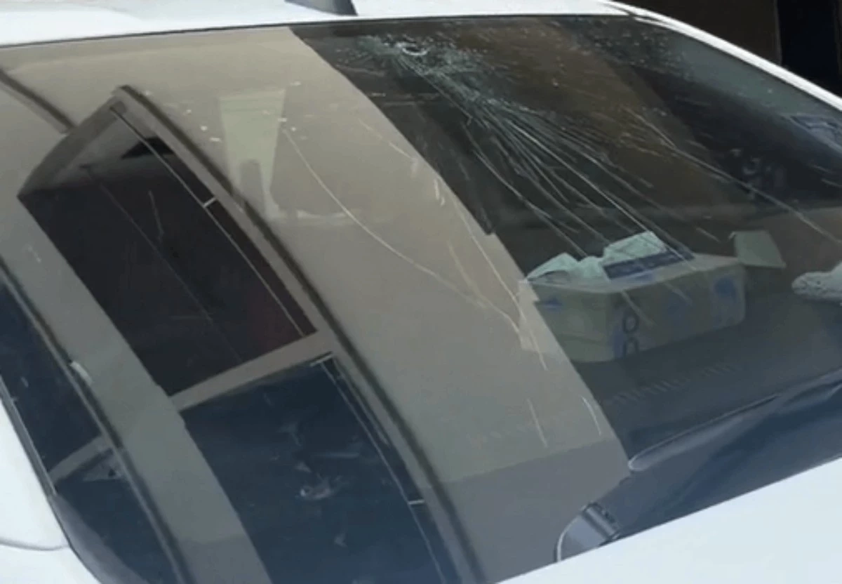 ใจหายแว่บ น้องแมวตกตึก 5 ชั้น ทำกระจกรถแตก โชคดีที่ไม่ได้รับบาดเจ็บหนัก