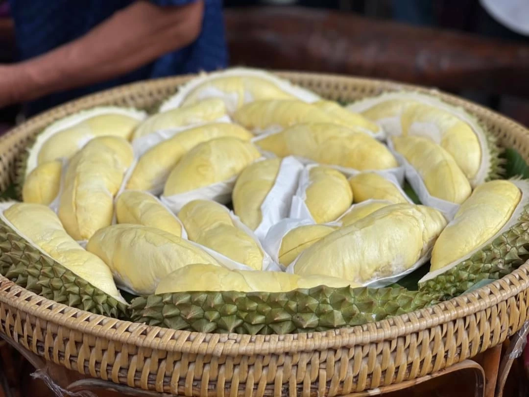 ชวนเที่ยวงาน เทศกาลทุเรียนหลง-หลินลับแล ปี 66 คาดเงินสะพัด 4,440 ล้าน