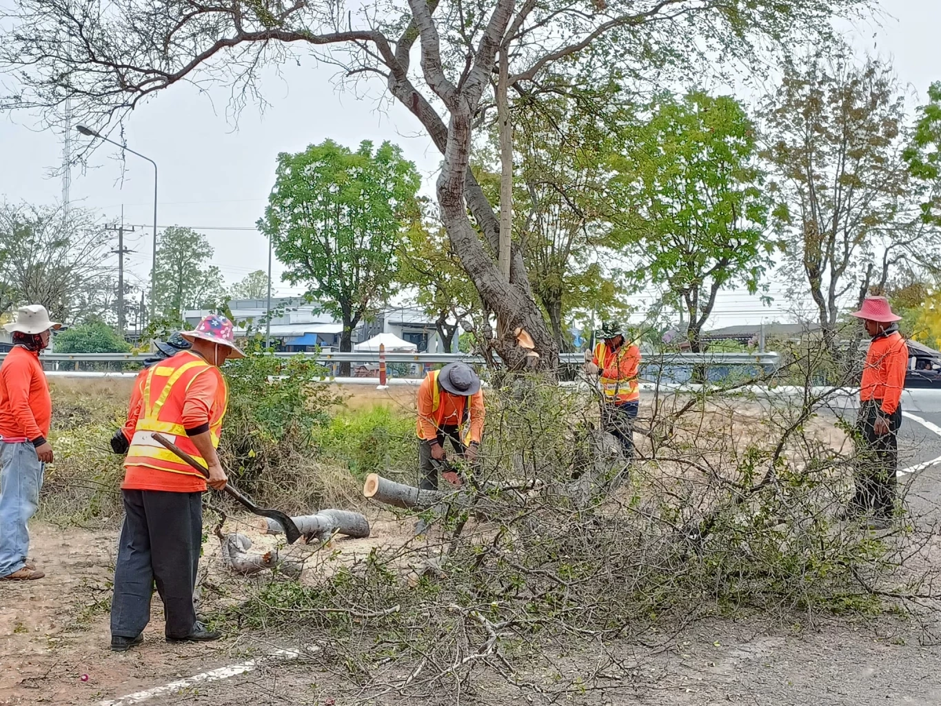นร.โคราช เสี่ยงชีวิตข้ามถนน 4 เลน เช้า-เย็น ครูวอนเร่งสร้างสะพานลอย