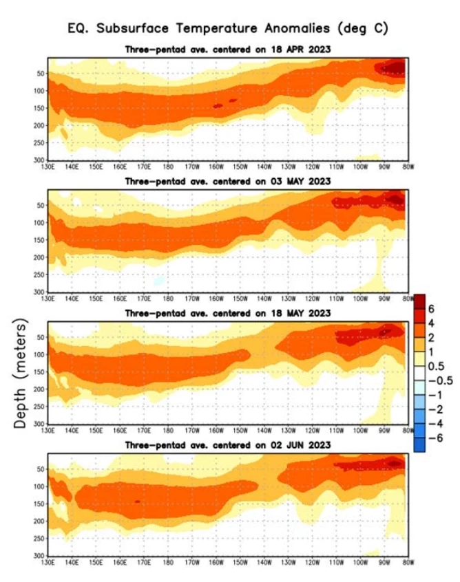 รูปที่ 2 อุณหภูมิน้ำทะเลที่อยู่ลึกจากผิวน้ำทะเลลงไปจนถึงระดับ 300 เมตร สูงกว่าค่าปกติทั่วทั้งมหาสมุทรแปซิฟิกฯในระดับลึก