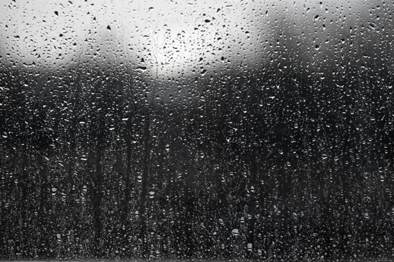 เตือน ปชช. ภาคใต้ ภาคเหนือ ตะวันออกเตรียมอ่วม!! เจอทั้งฝนฟ้าคะนอง ฝนตกหนัก   