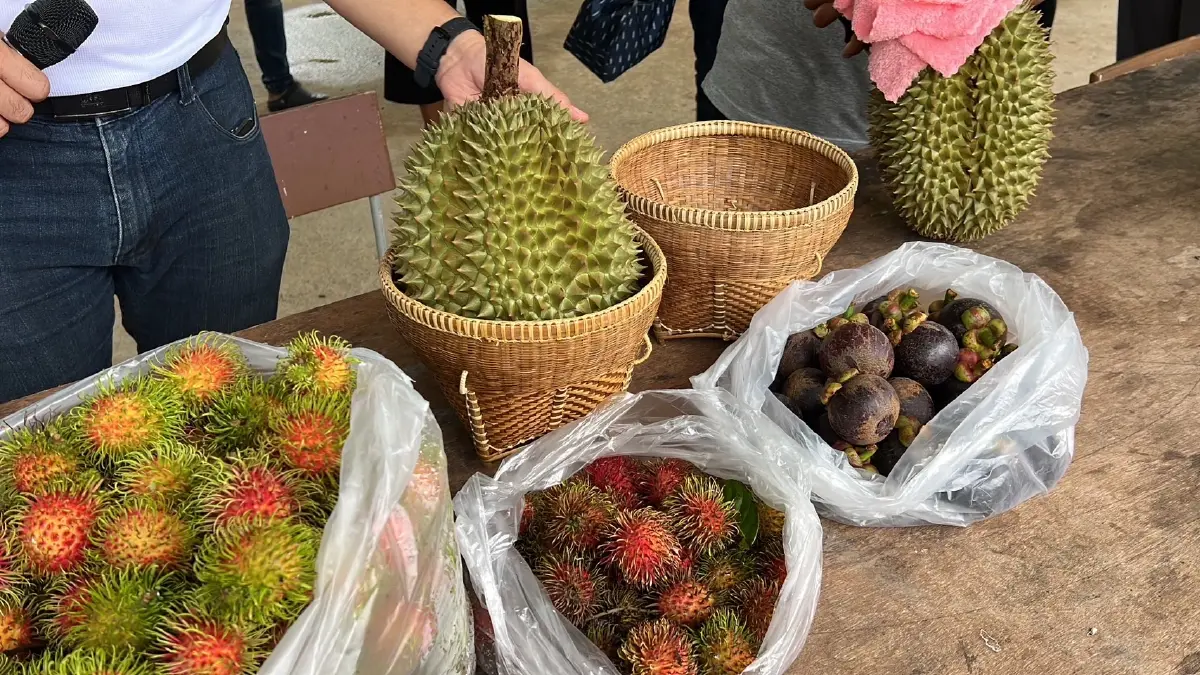เปิดเมนู อ่อมทุเรียนภูเขาไฟ ยำมงกุฎราชินีผลไม้ จากชาวสวนศรีสะเกษ