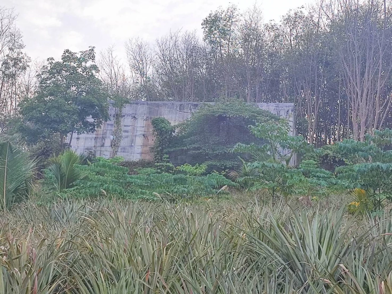 ชาวบ้านโวย โครงการประปาตามพระราชดำริ ถูกปล่อยทิ้งร้าง รับมอบ 2 ปี ไม่เปิดใช้