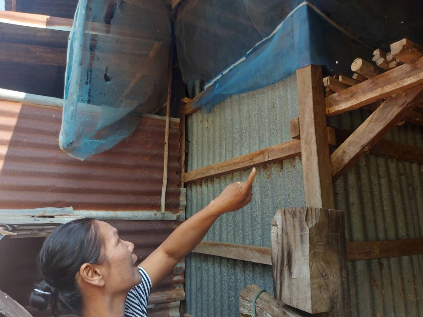 ทุกข์ชาวนา ครวญความเจ็บผ่าน"TikTok" โจรขโมยข้าวพันธุ์ทำนาเกลี้ยง (มีคลิป)