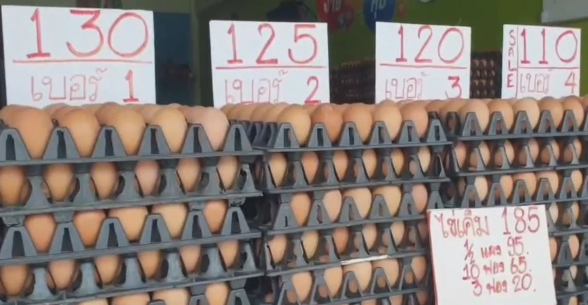 ชาวระยองโอด ราคาไข่แพง เดือนเดียวขึ้น 18 บาทต่อแผง