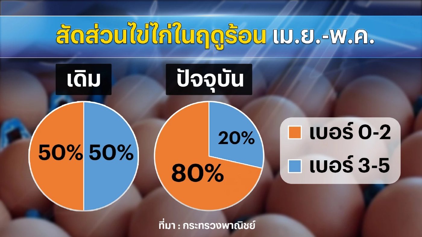 แม่ค้าโอดราคาไข่พุ่งสูงประวัติการณ์ทำยอดขายร่วง