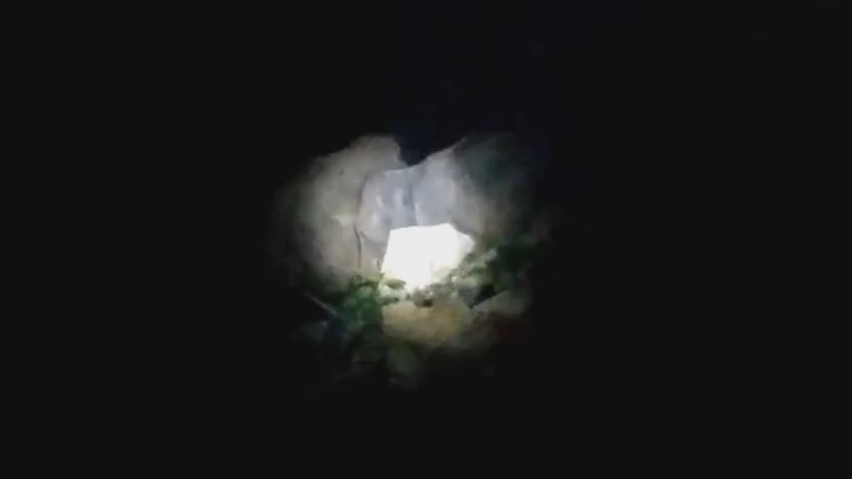 ช้างป่าแสนดื้อ "เจ้าหงส์ทอง" จ่าโขลง พาสมาชิกบุกสวนผลไม้ชาวบ้าน