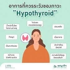 รู้จัก "ภาวะขาดฮอร์โมนไทรอยด์" เช็กอาการ ใครคือกลุ่มเสี่ยง ที่นี่มีคำตอบ