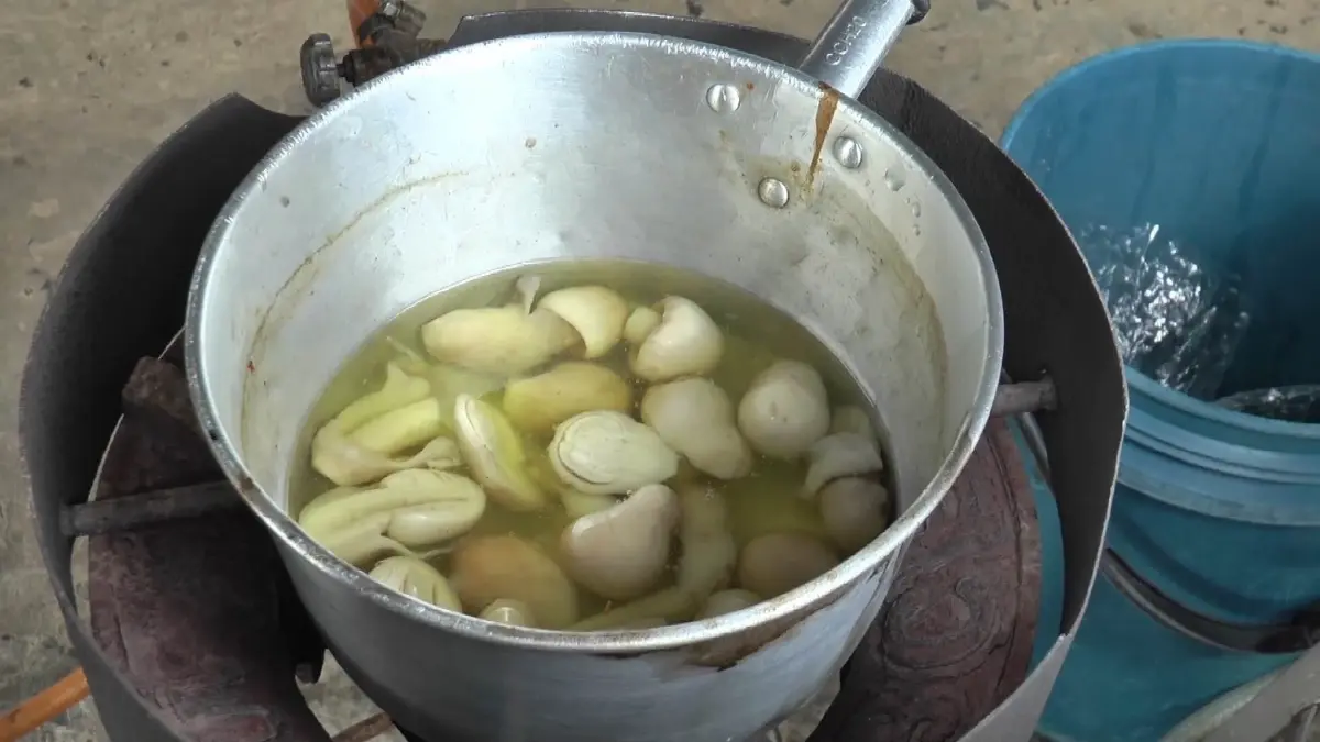 หนุ่มใหญ่หวิดดับ เก็บเห็ดยูคามาแกงกิน คล้อยหลัง 2 ชม. อ้วกพุ่ง ไร้เรี่ยวแรง