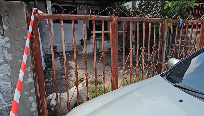 สุนัข 3 ตัว เฝ้าร่างเจ้าของ 4 วัน เพื่อนบ้านได้กลิ่นเหม็น เจอเป็นศพคาห้อง